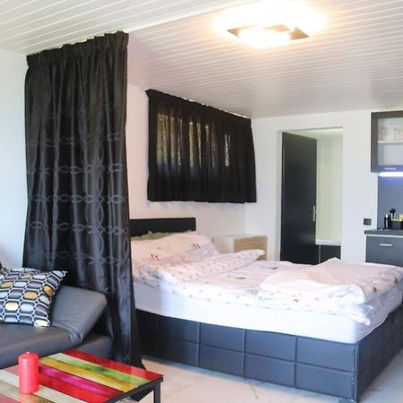 La Lapia Apartment Monthey Bagian luar foto